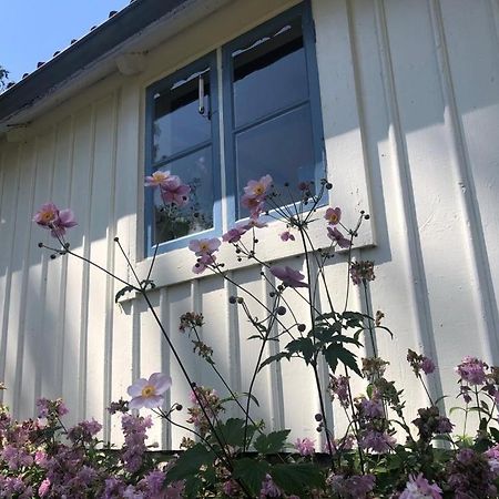 Seaside Cottage Haga Park Frobygarda Eksteriør billede