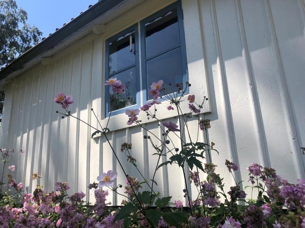 Seaside Cottage Haga Park Frobygarda Eksteriør billede